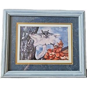 Batik Sugar Glider Matted Framed photo signed and numbered Beth Erlund 128/1500